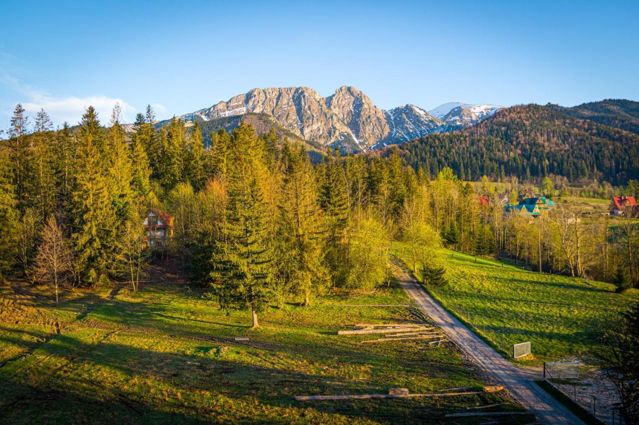 Bialy Mis Apartamenty Art & Design Zakopane Luaran gambar