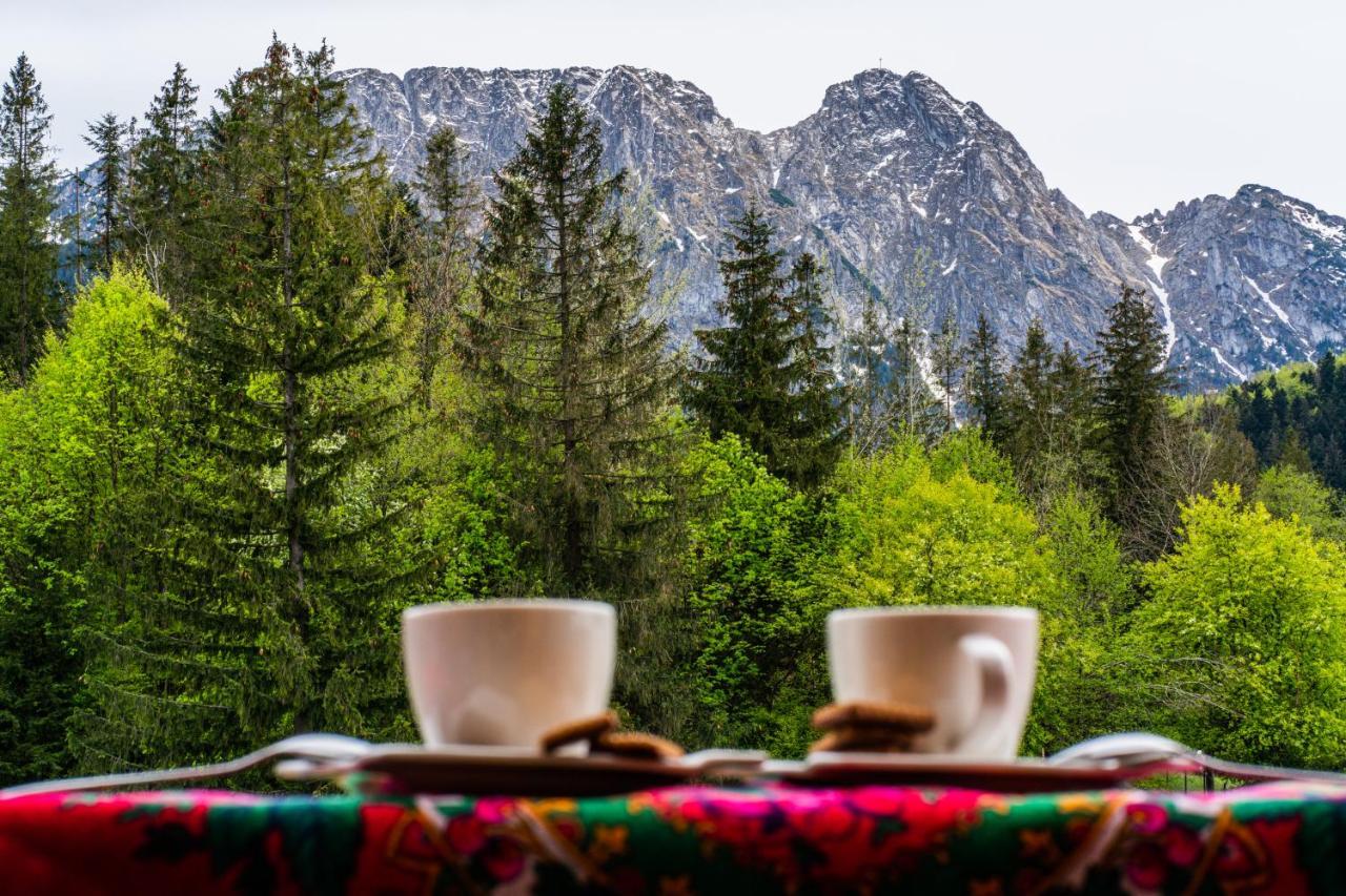 Bialy Mis Apartamenty Art & Design Zakopane Luaran gambar